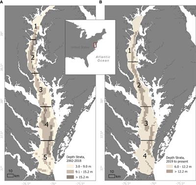 Design and redesign of a bottom trawl survey in Chesapeake Bay, USA